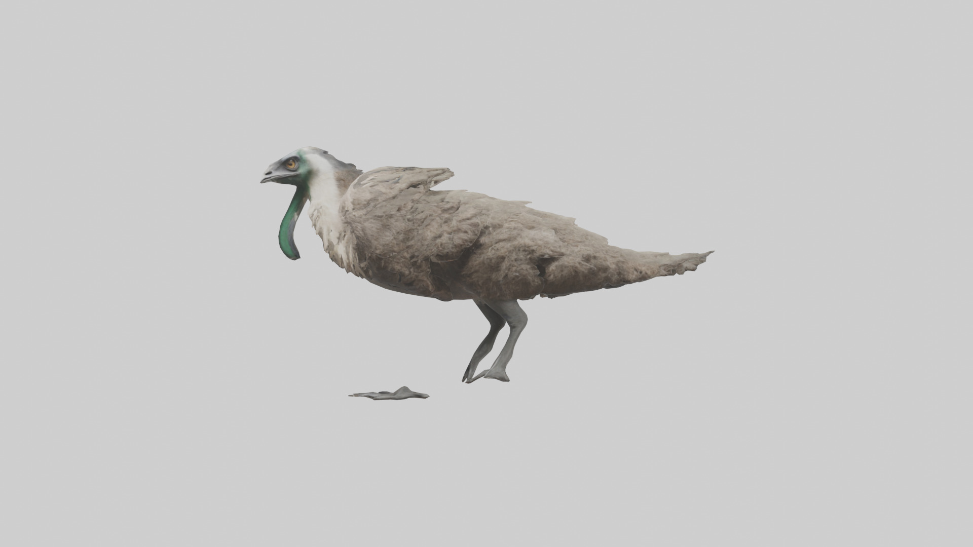 Emu running model Low-poly 3D model_12