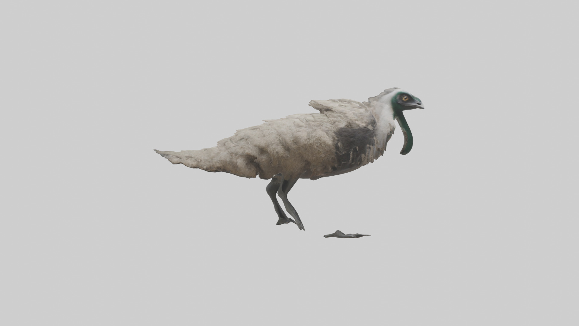 Emu running model Low-poly 3D model_13