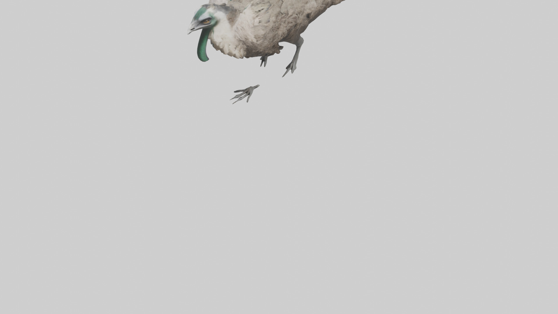 Emu running model Low-poly 3D model_5
