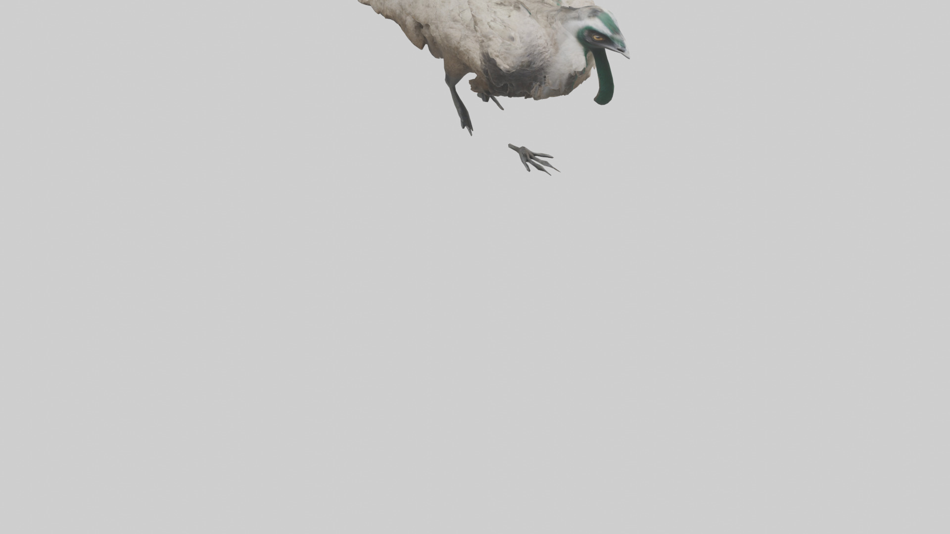 Emu running model Low-poly 3D model_6