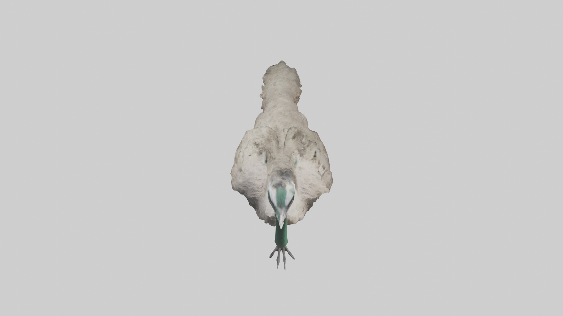 Emu running model Low-poly 3D model_16