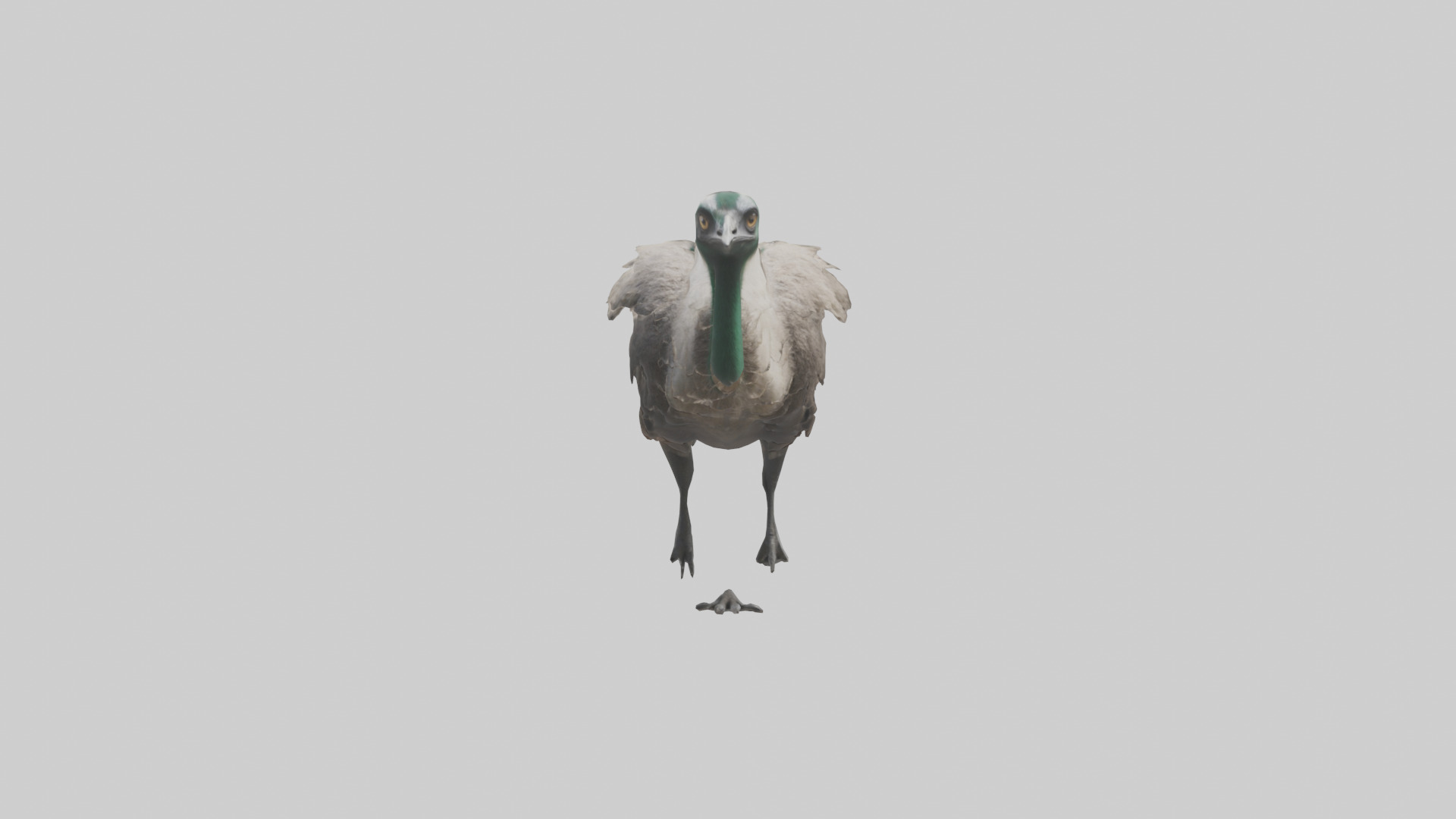 Emu running model Low-poly 3D model_9
