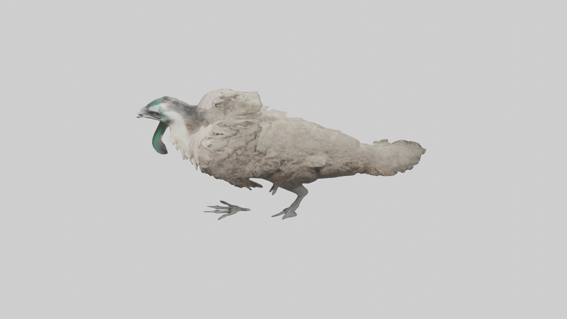 Emu running model Low-poly 3D model_17