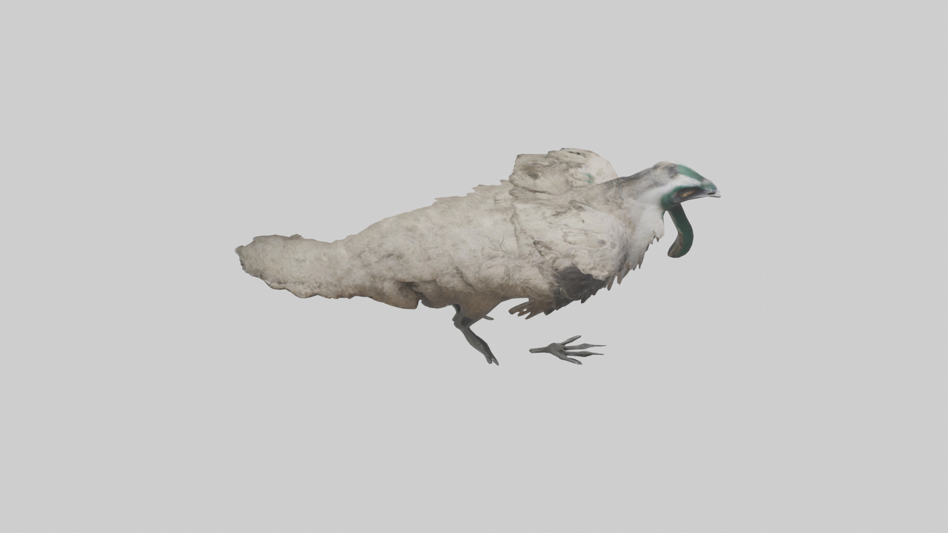 Emu running model Low-poly 3D model_18