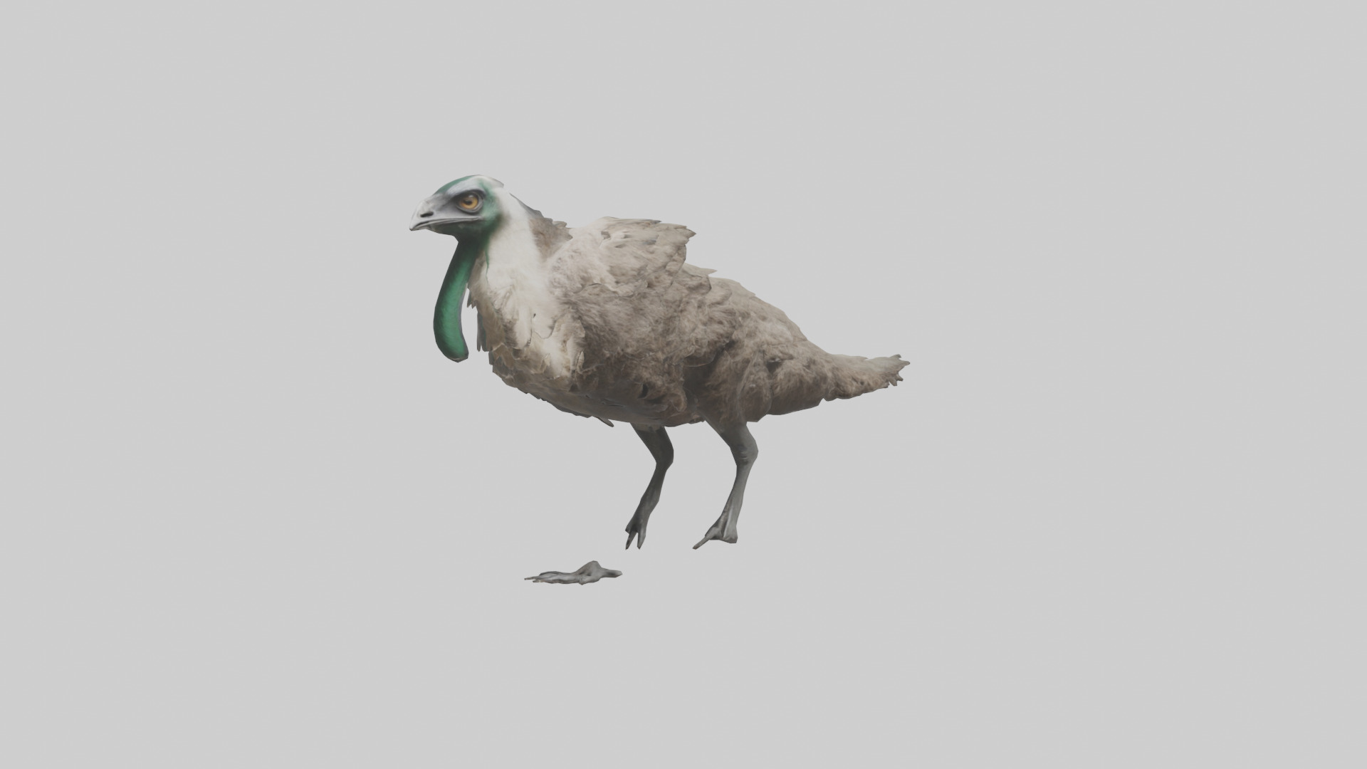 Emu running model Low-poly 3D model_8