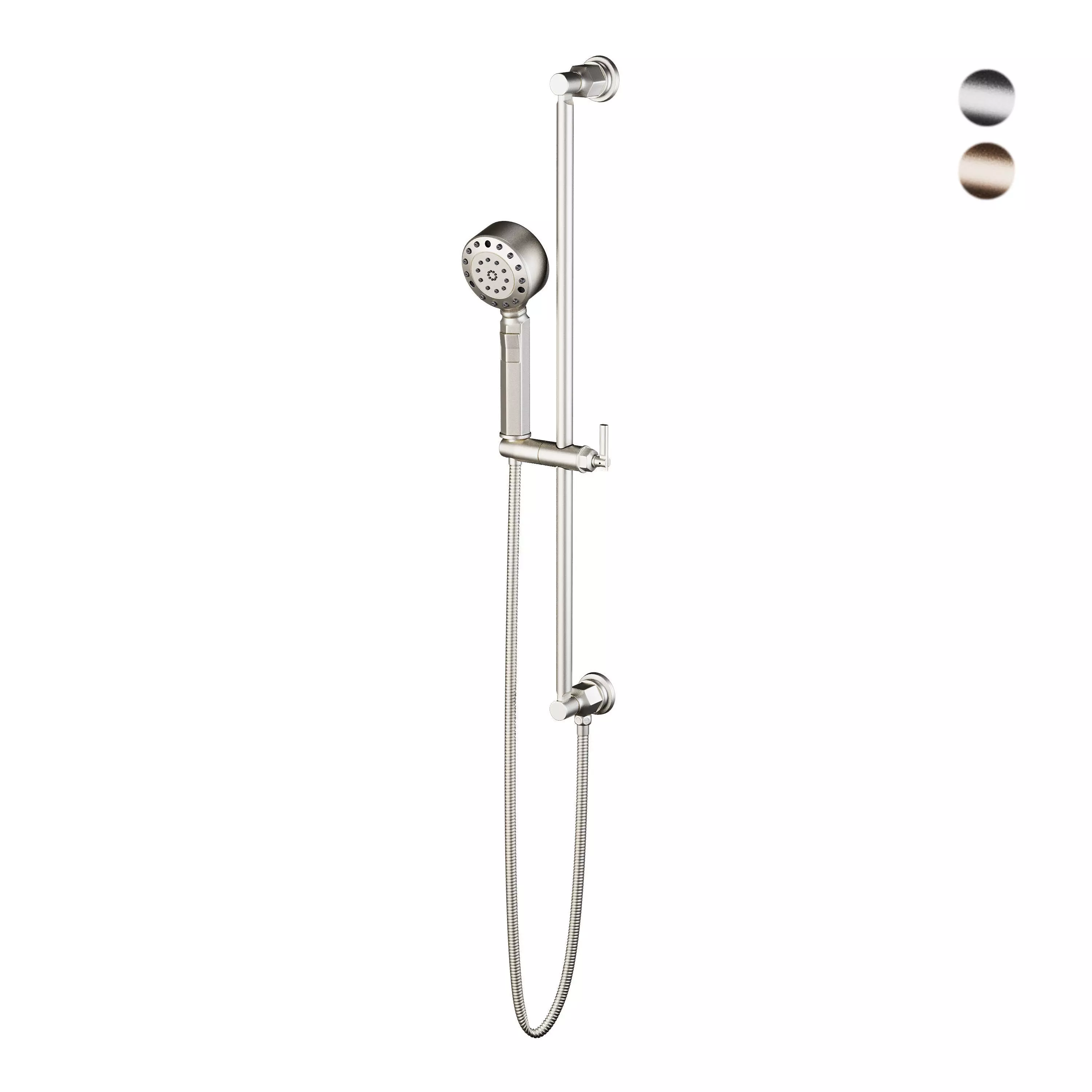 Brizo Invari Multi-Function Slide Bar Handshower 3D model