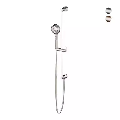 Brizo Invari Multi-Function Slide Bar Handshower 3D model