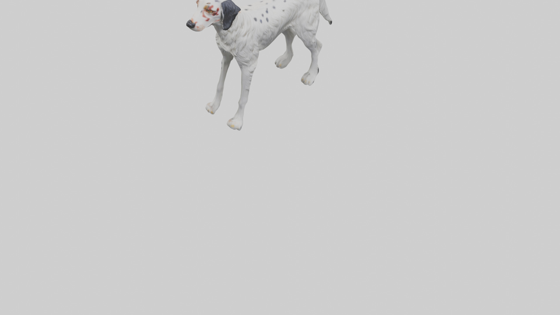 English Setter hunting model Low-poly 3D model_6