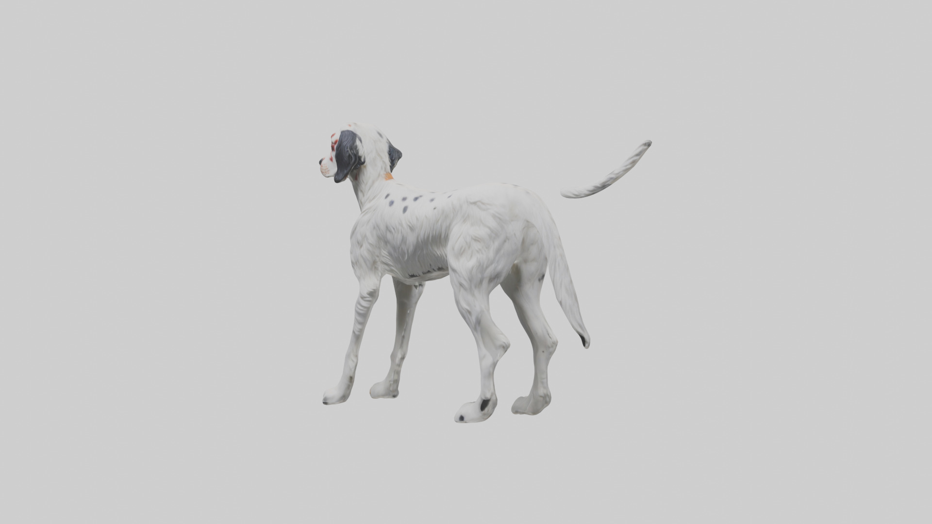 English Setter hunting model Low-poly 3D model_8