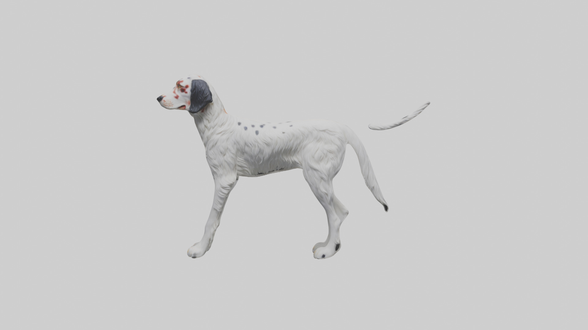 English Setter hunting model Low-poly 3D model_9