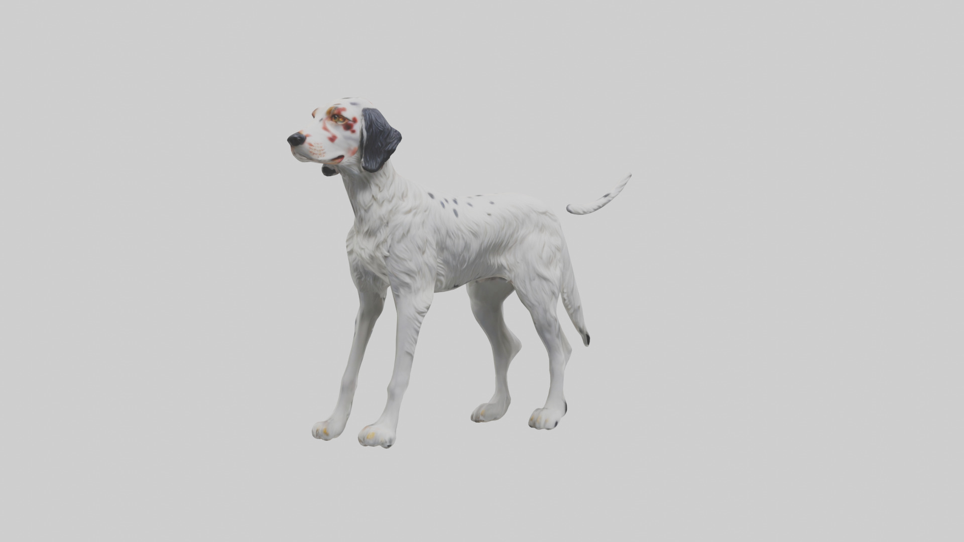 English Setter hunting model Low-poly 3D model_11