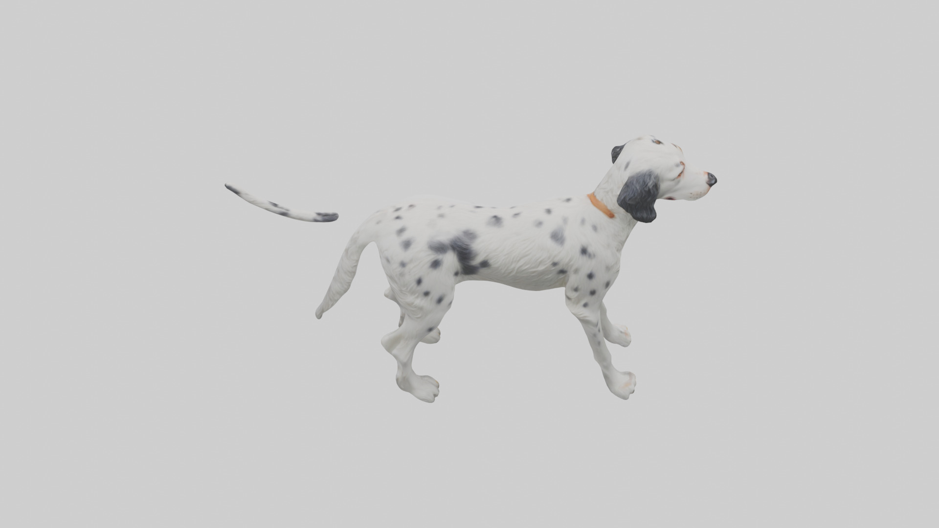 English Setter hunting model Low-poly 3D model_15