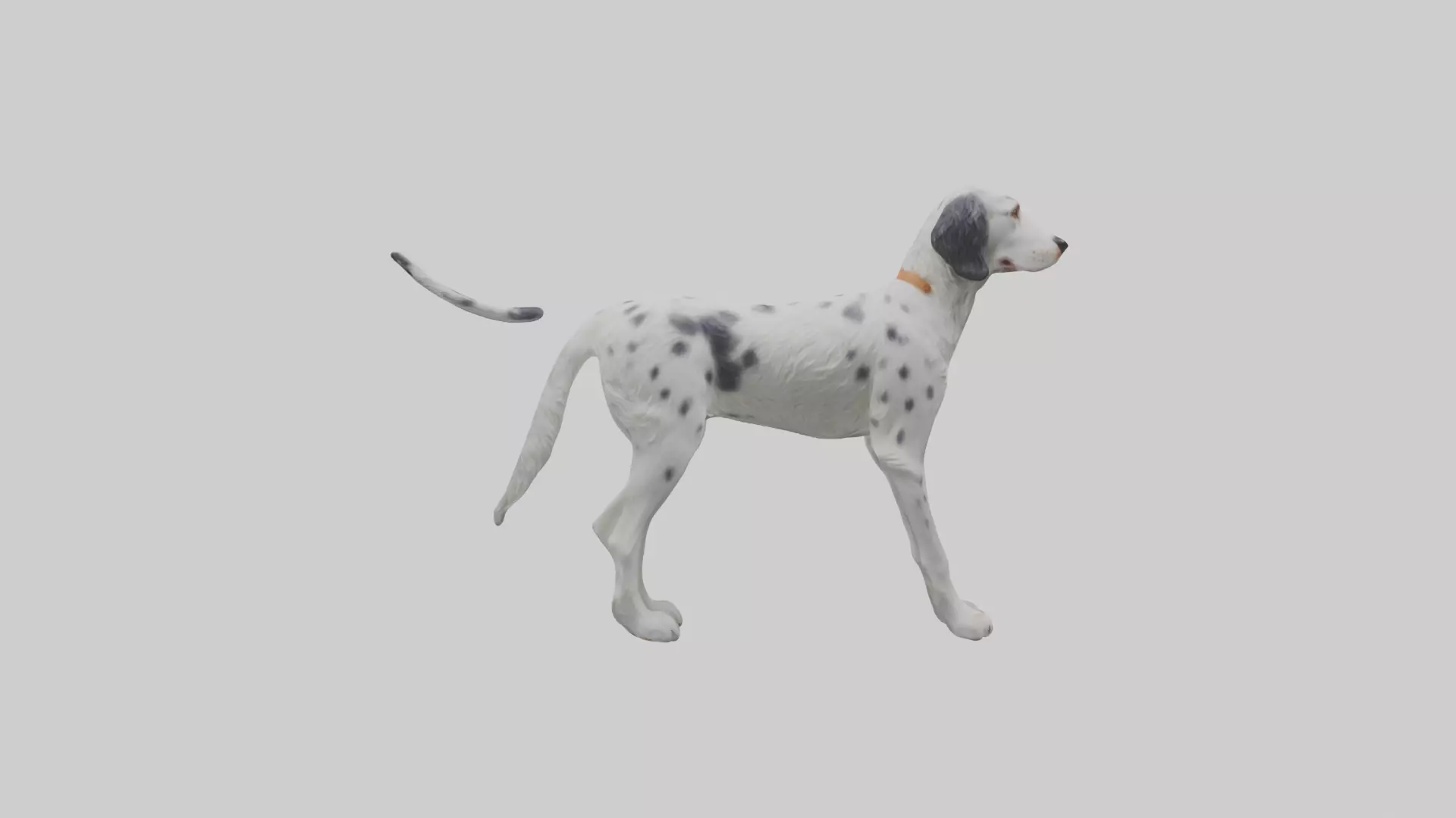 English Setter hunting model Low-poly 3D model_0