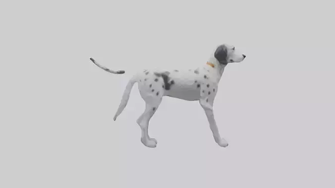 English Setter hunting model