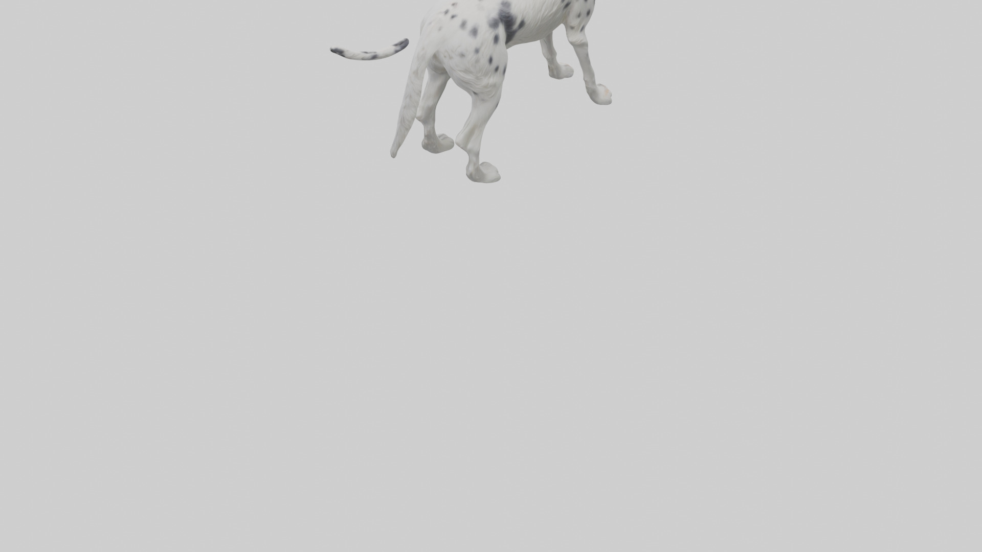 English Setter hunting model Low-poly 3D model_3
