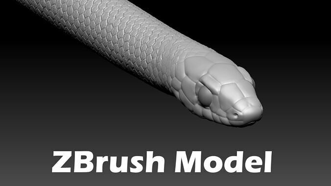 King Snake Zbrush Model 3D model