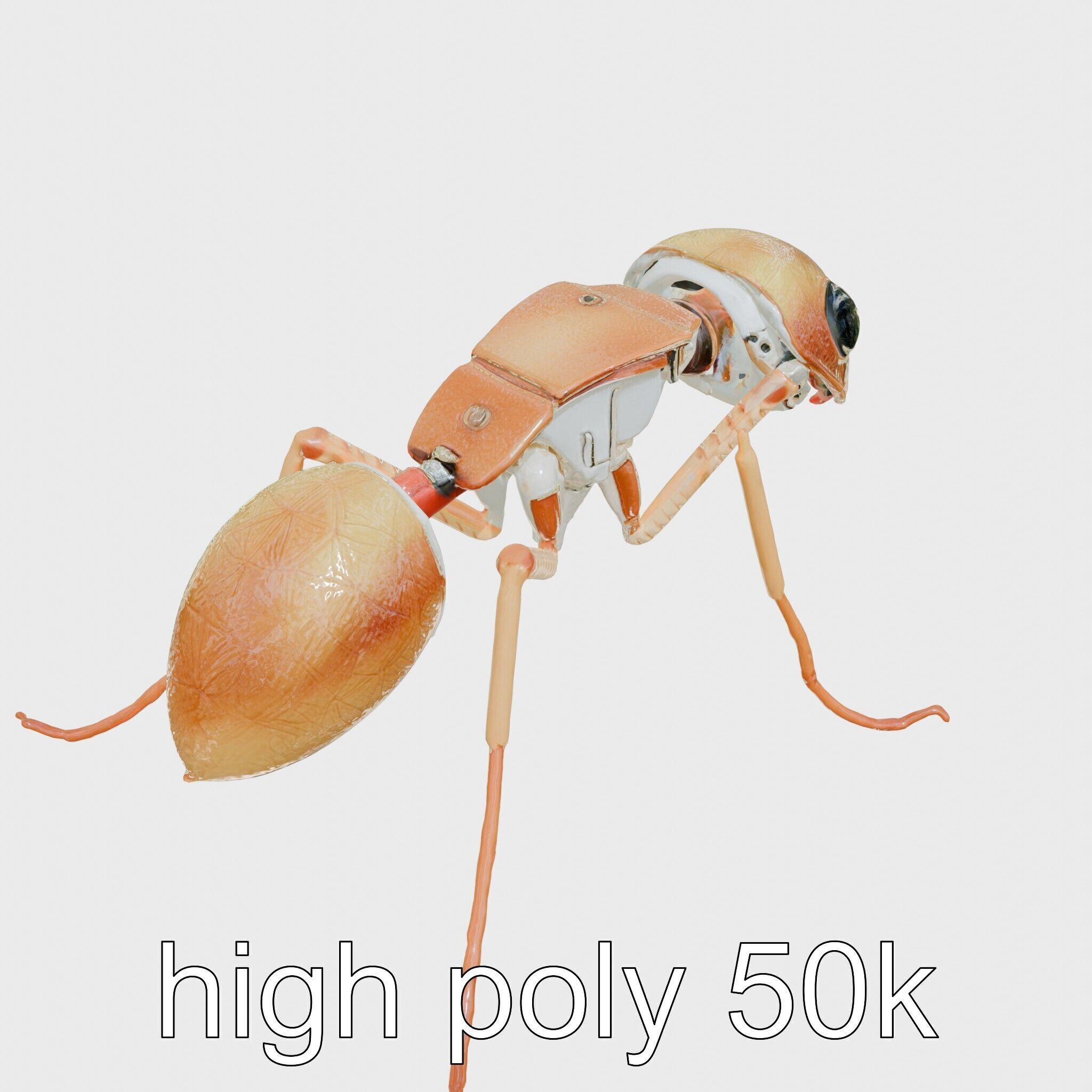 Mechanical Ant with Microscopic Manipulators Low-poly 3D model_11