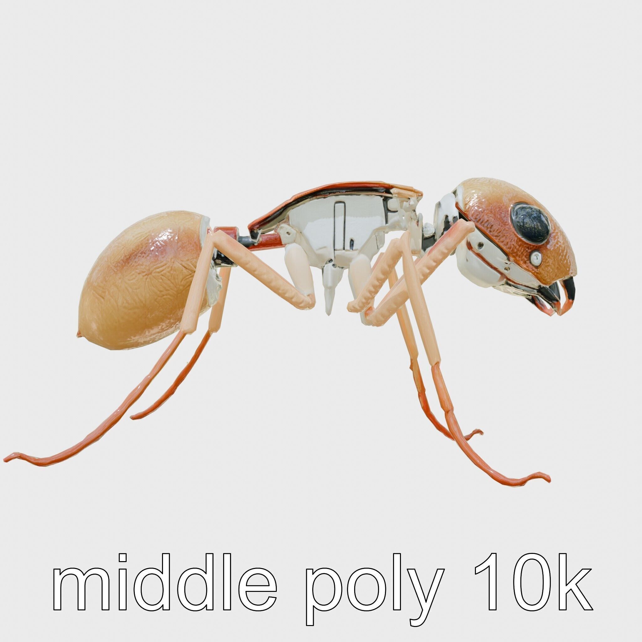 Mechanical Ant with Microscopic Manipulators Low-poly 3D model_16