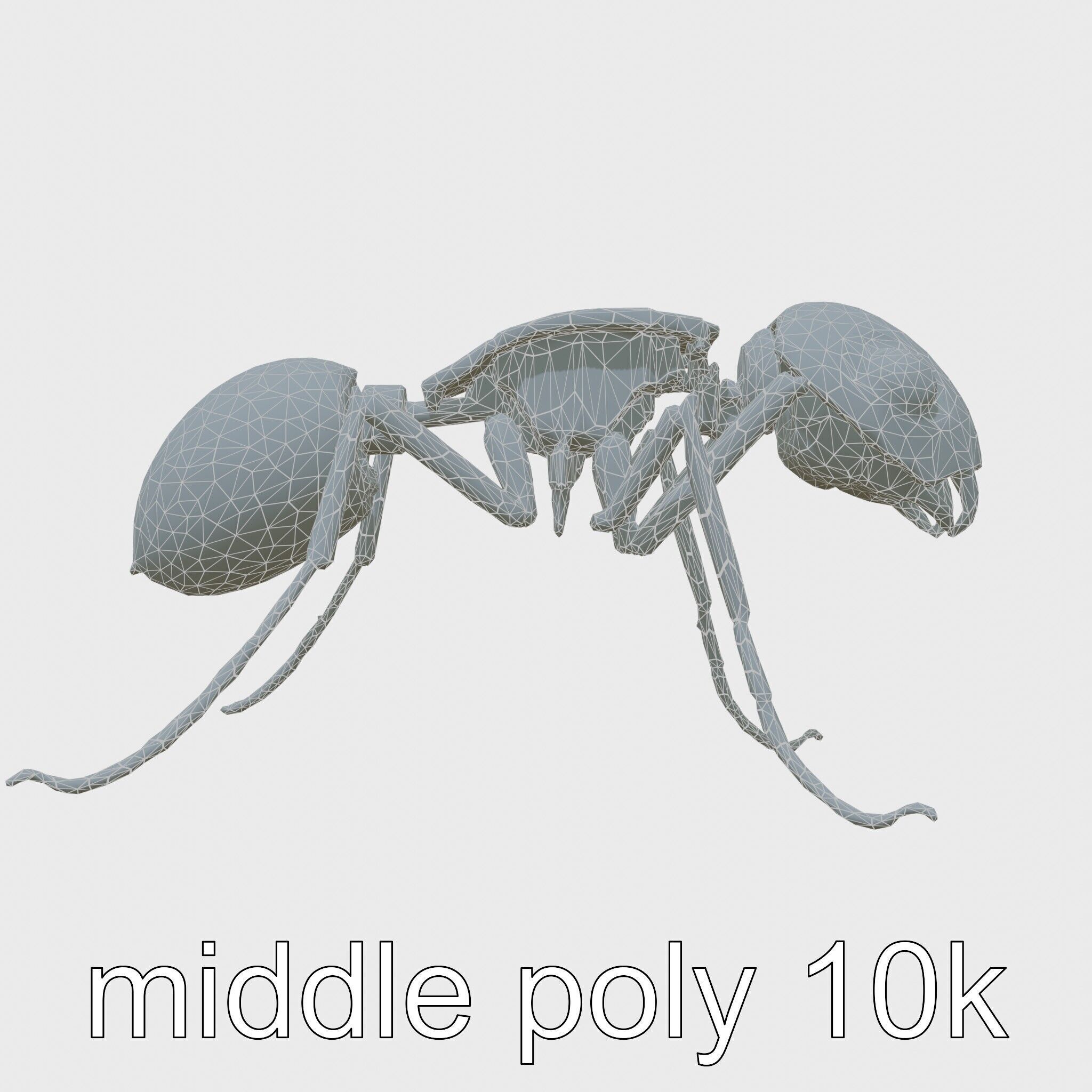 Mechanical Ant with Microscopic Manipulators Low-poly 3D model_31