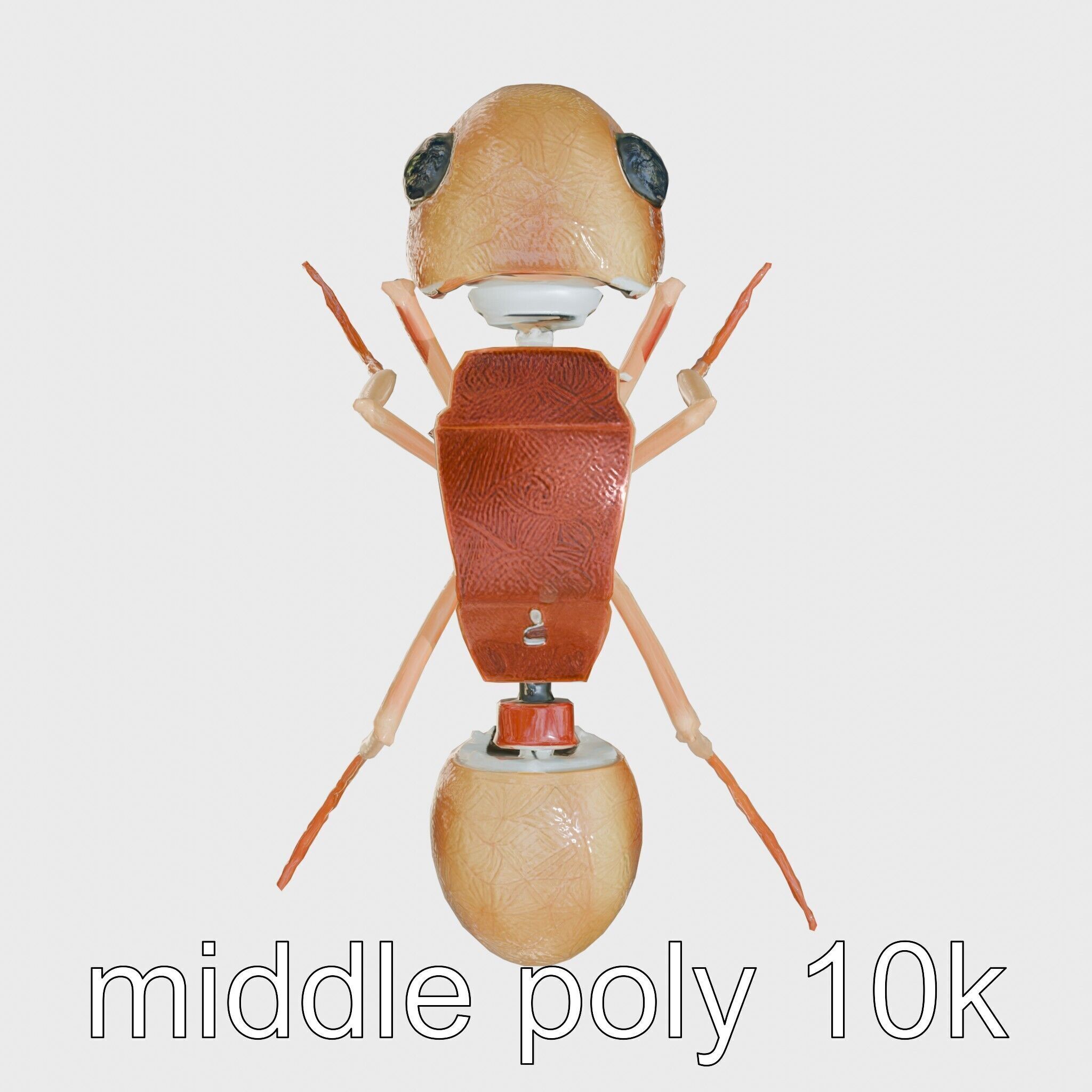 Mechanical Ant with Microscopic Manipulators Low-poly 3D model_18