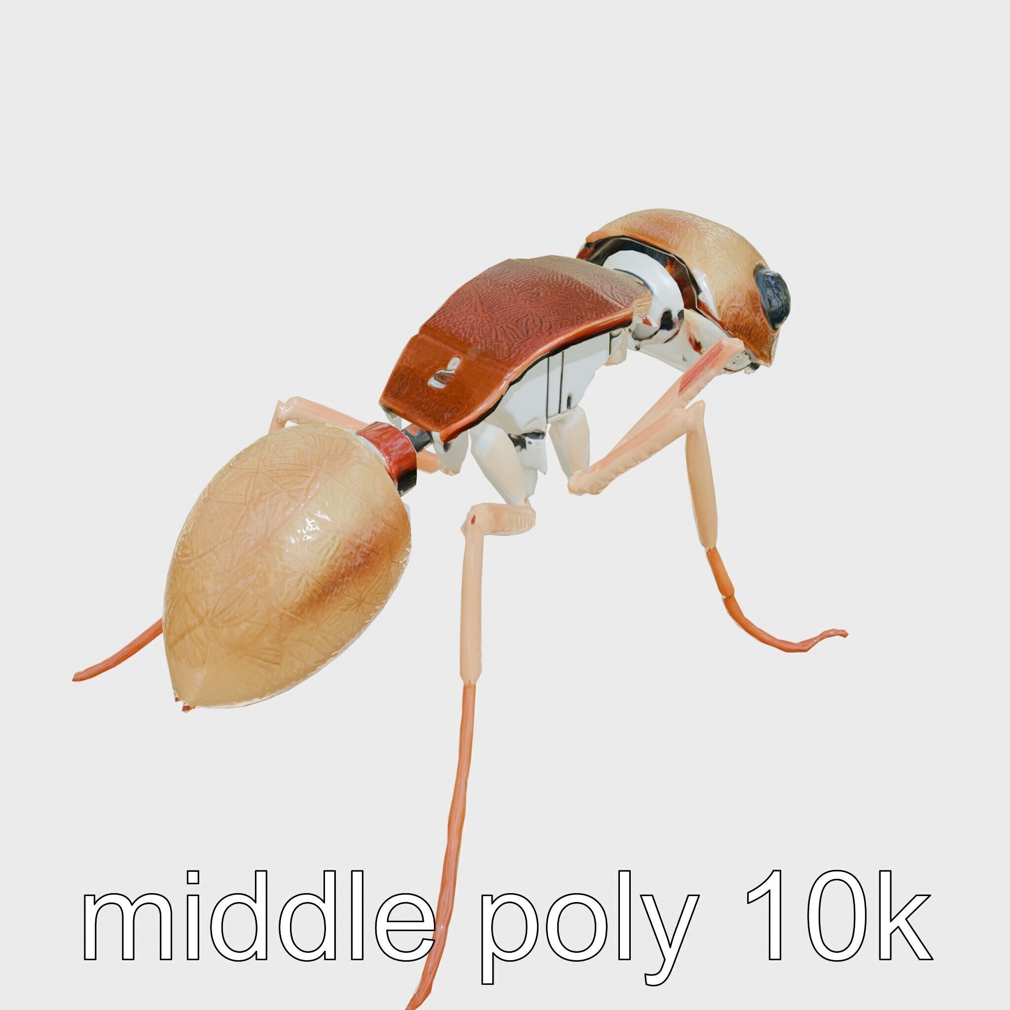 Mechanical Ant with Microscopic Manipulators Low-poly 3D model_12