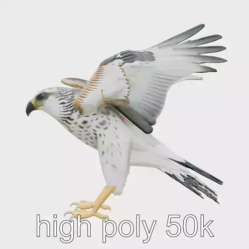 Bionic Miniature Eagle with Photon Wings and Precision Cameras Low-poly 3D model