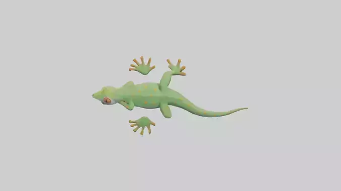 Gecko climbing wall model