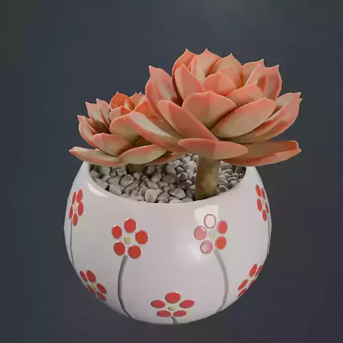 Flower in a pot