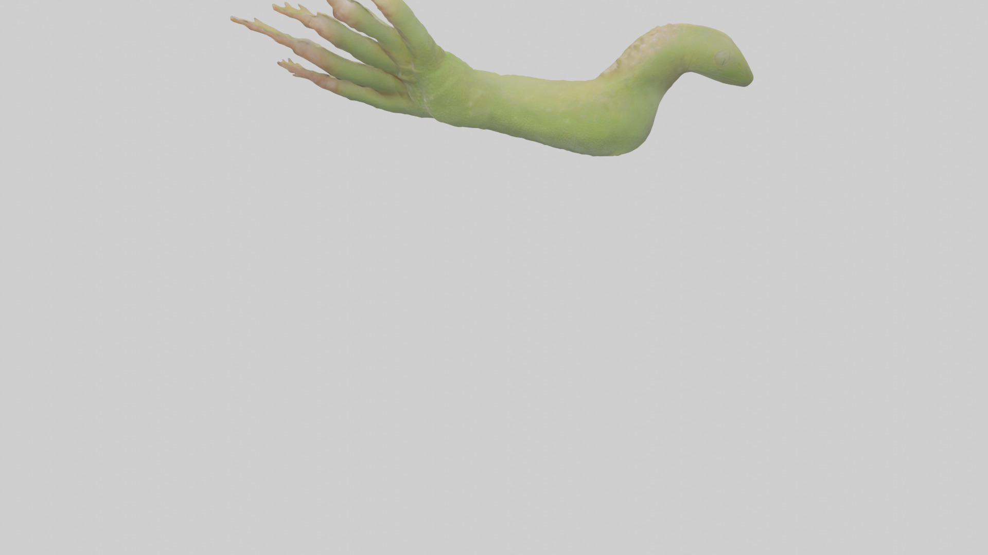 Gecko Feet Model Low-poly 3D model_3