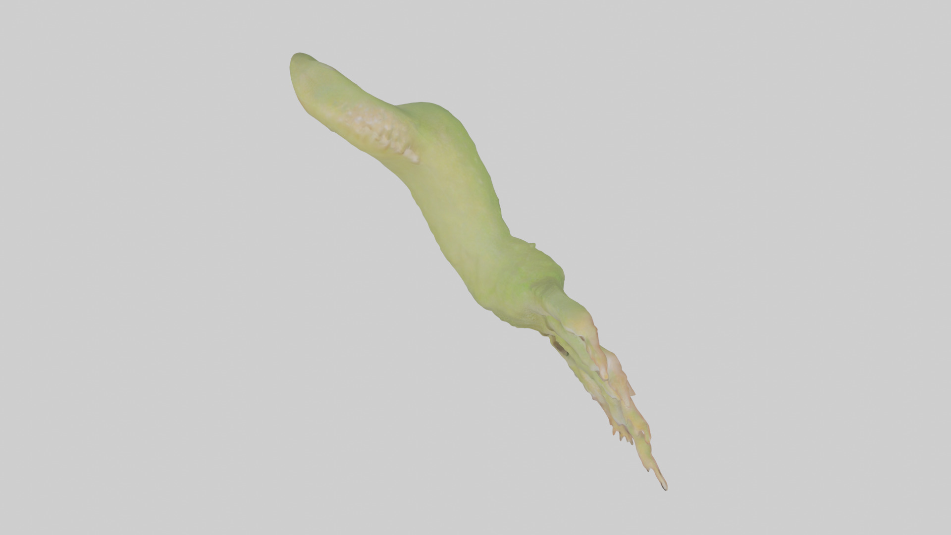 Gecko Feet Model Low-poly 3D model_14