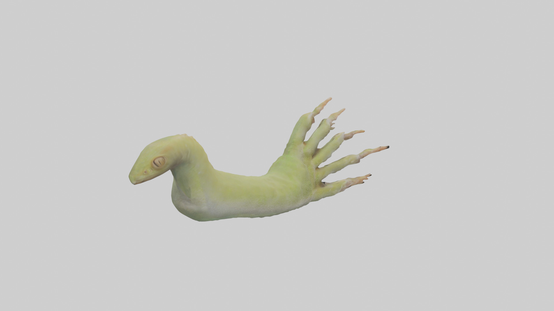 Gecko Feet Model Low-poly 3D model_13