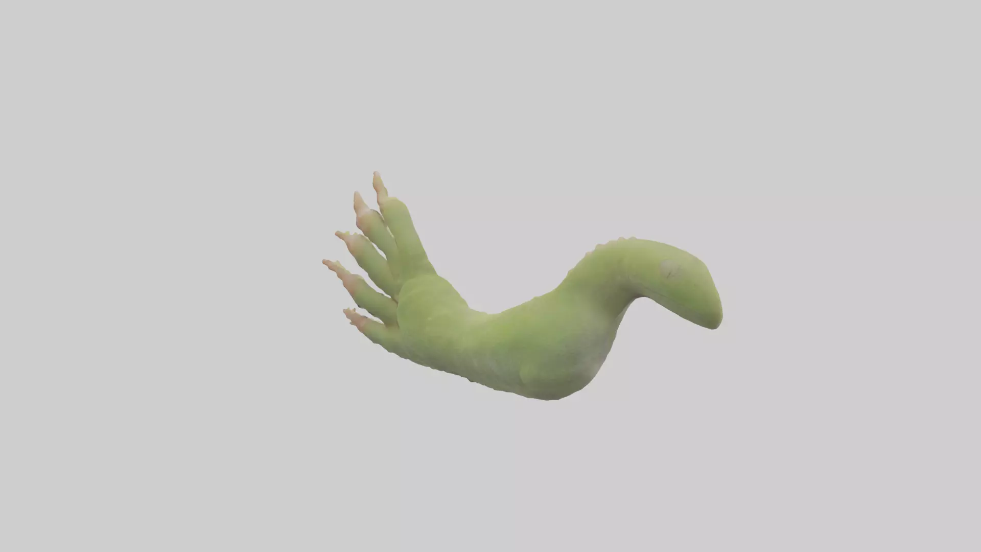 Gecko Feet Model Low-poly 3D model_0
