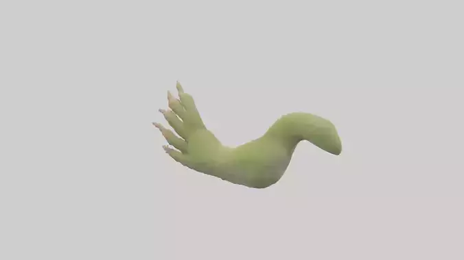 Gecko Feet Model Low-poly 3D model
