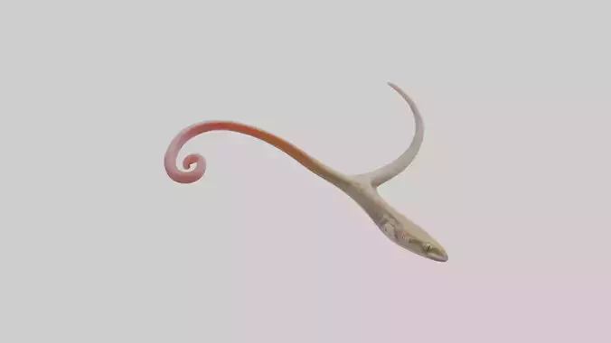 Gecko Tongue Low-poly 3D model