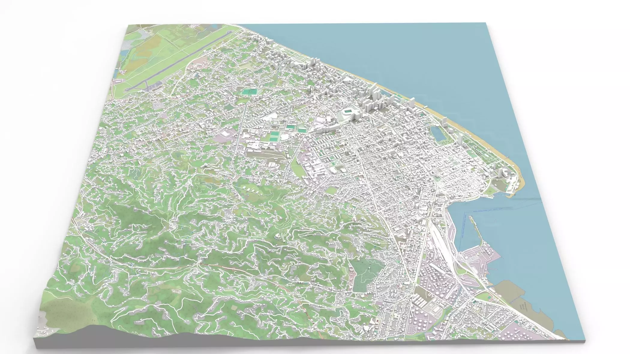 Cityscape Batumi Georgia 3D model_0