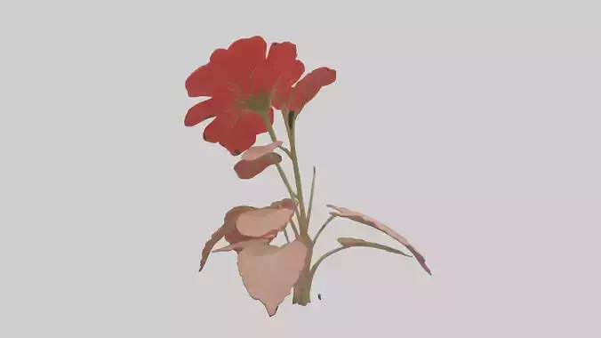 Geranium model Low-poly 3D model