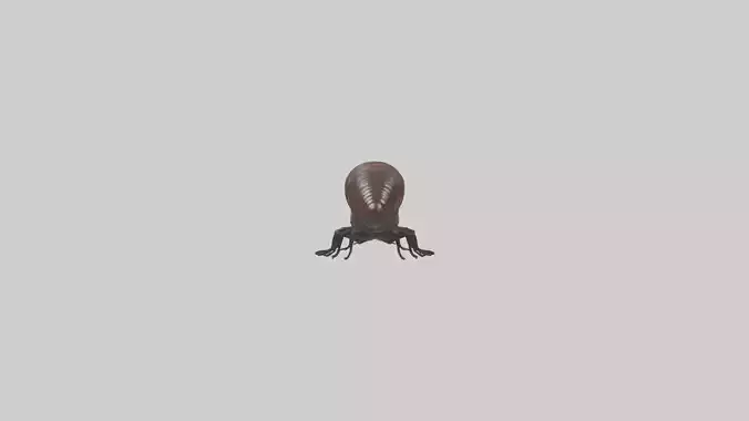 Giant African Millipede crawling model Low-poly 3D model