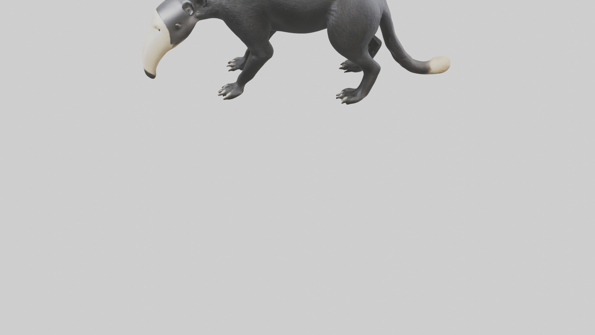 Giant Anteater sniffing ground model Low-poly 3D model_5