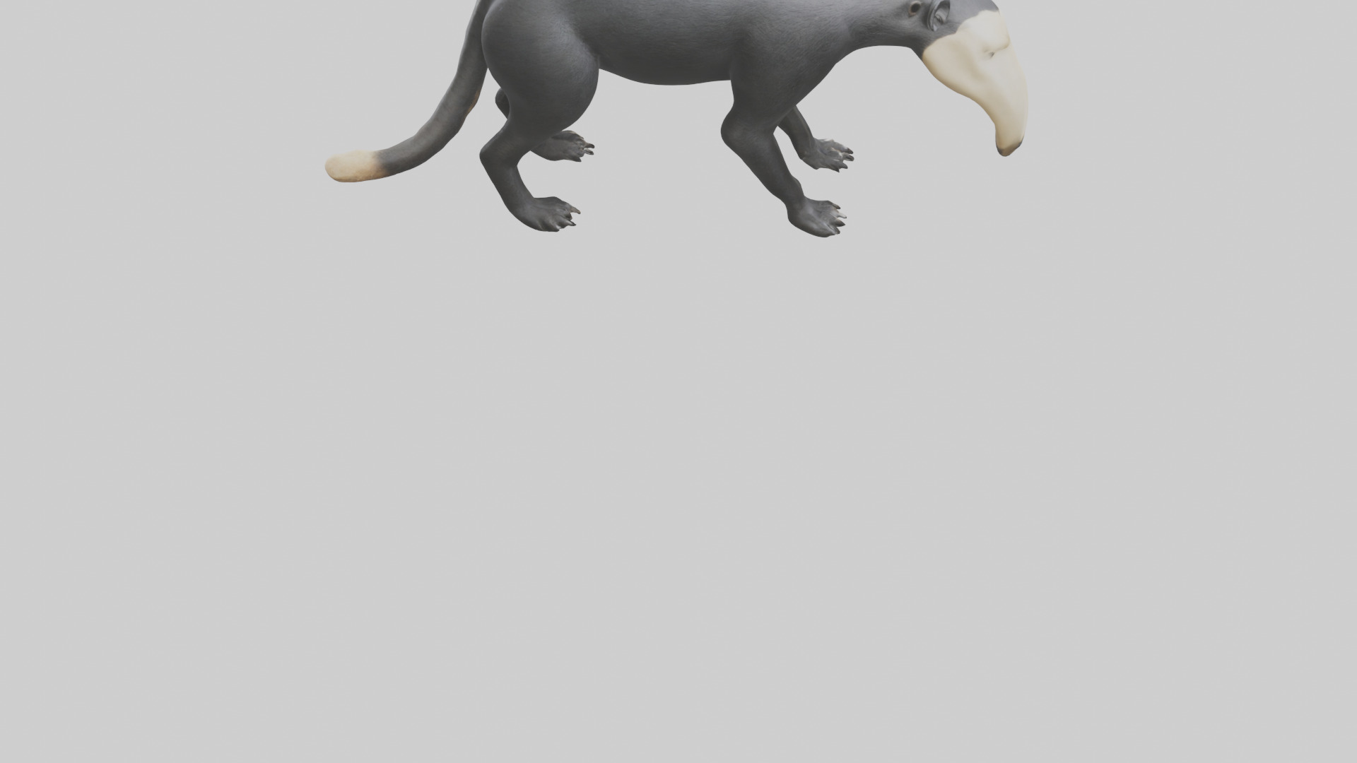 Giant Anteater sniffing ground model Low-poly 3D model_4