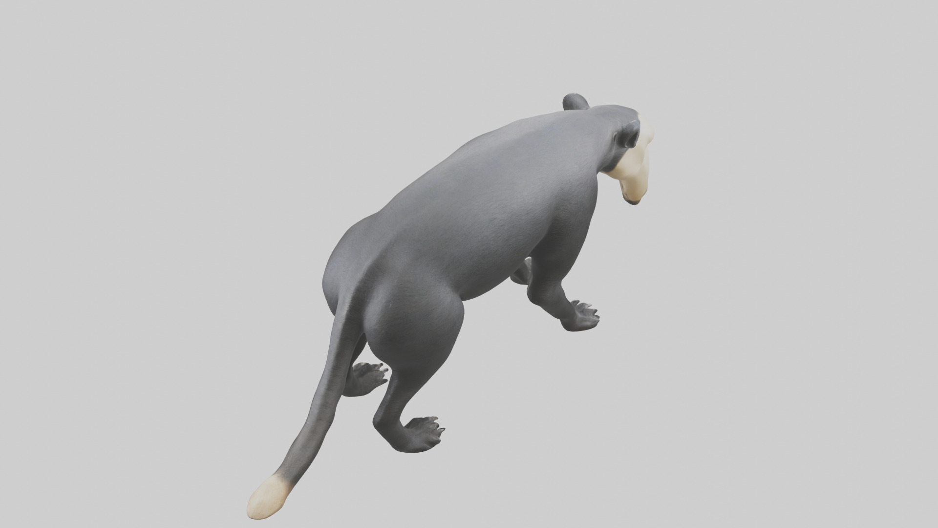 Giant Anteater sniffing ground model Low-poly 3D model_15