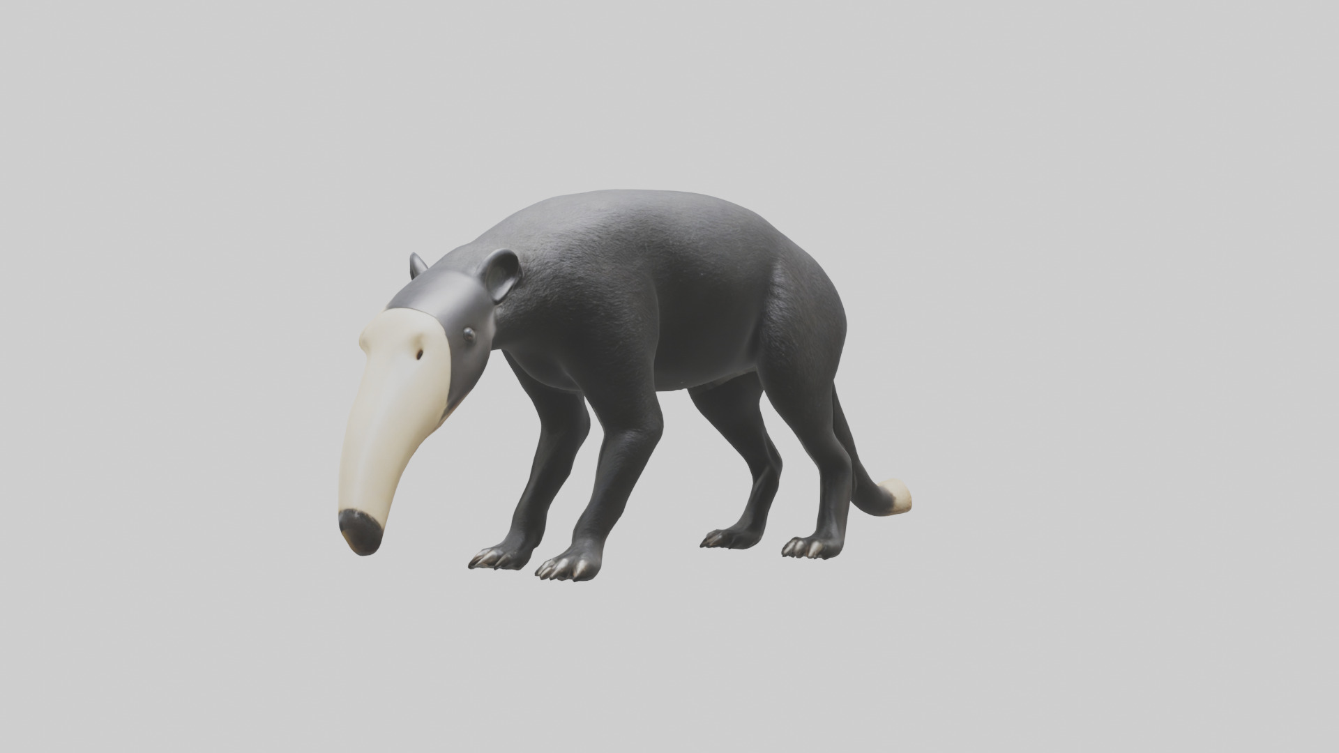 Giant Anteater sniffing ground model Low-poly 3D model_9