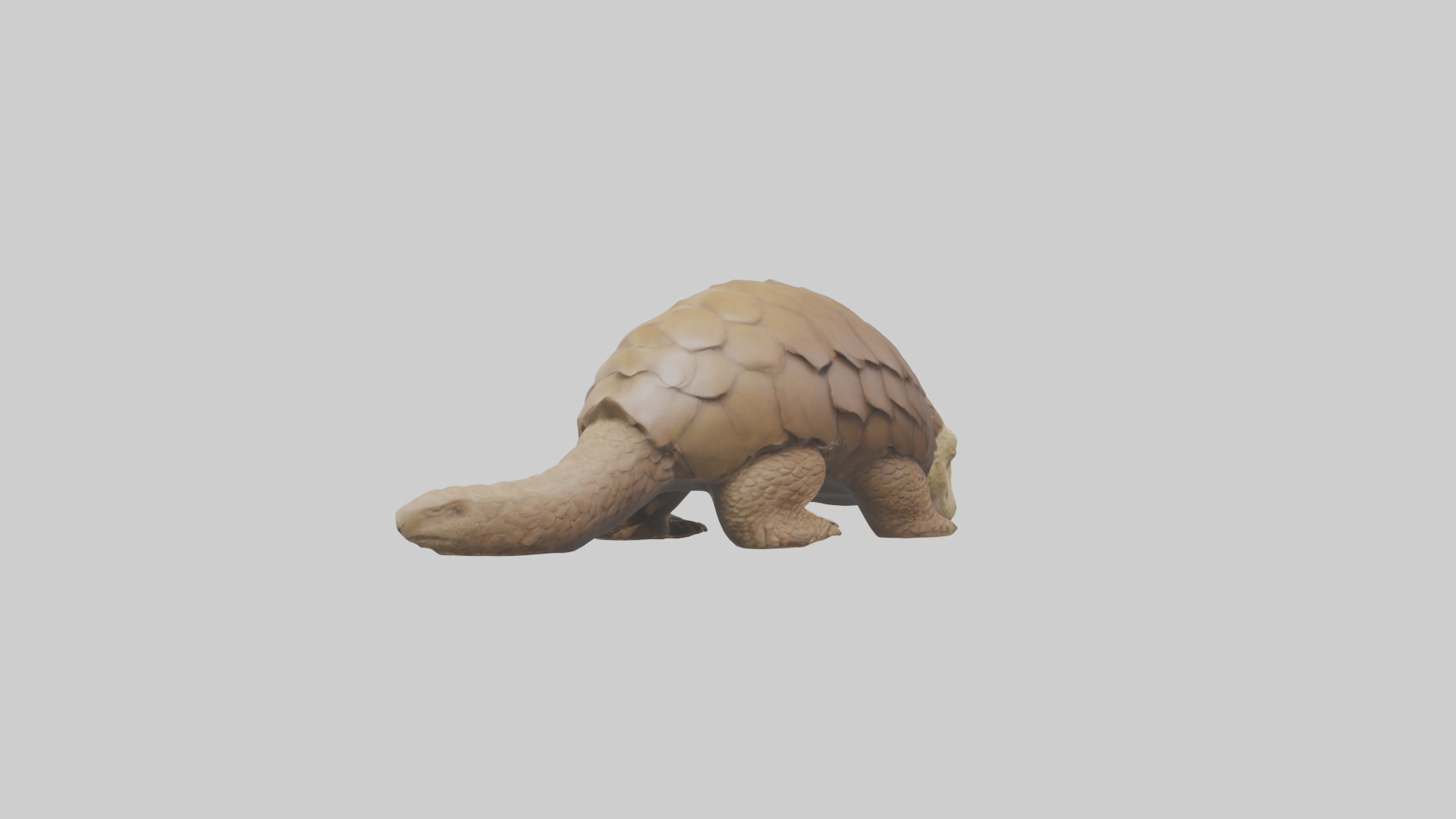 Giant Ground Pangolin resting model Low-poly 3D model_2