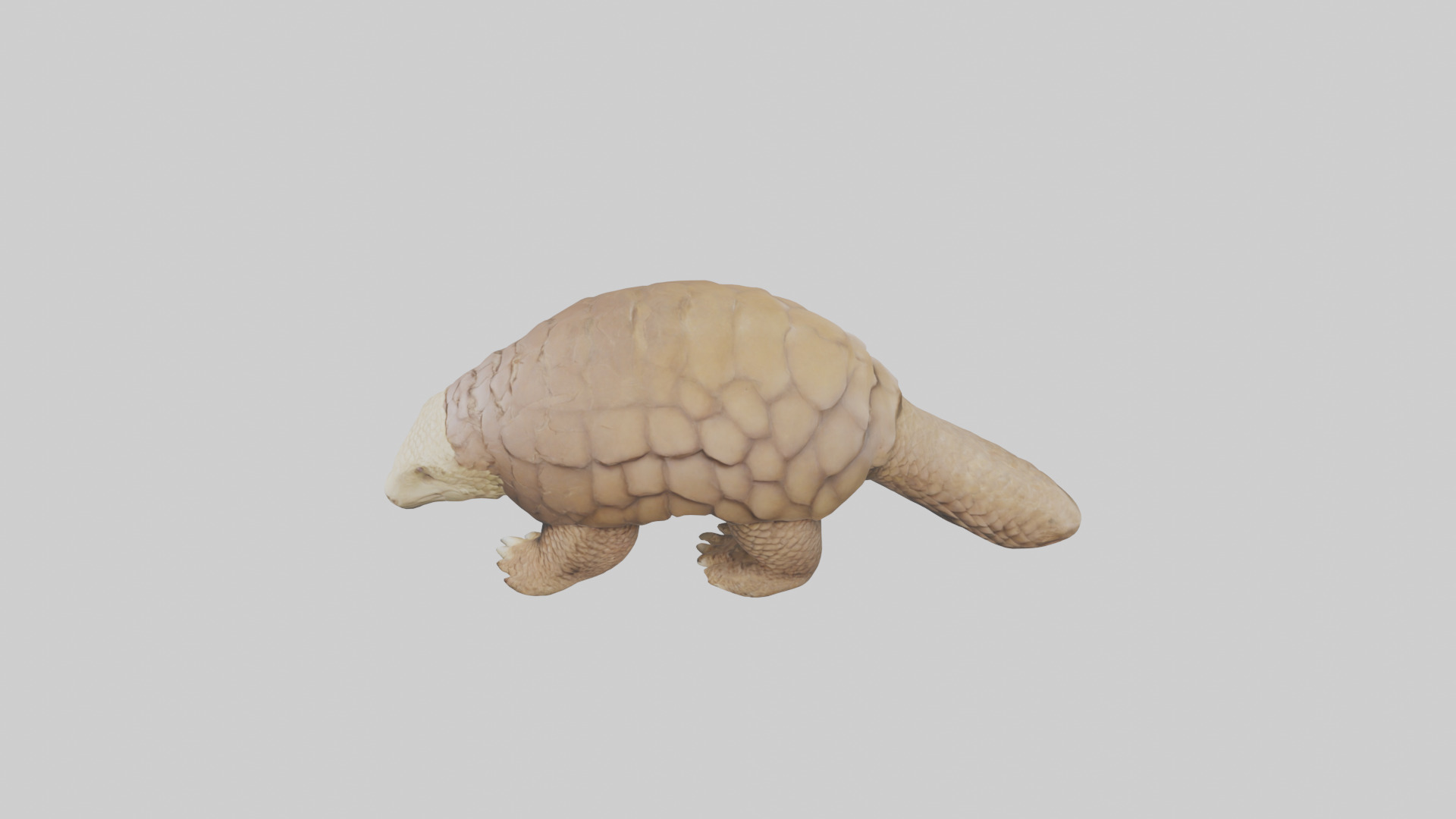 Giant Ground Pangolin resting model Low-poly 3D model_17