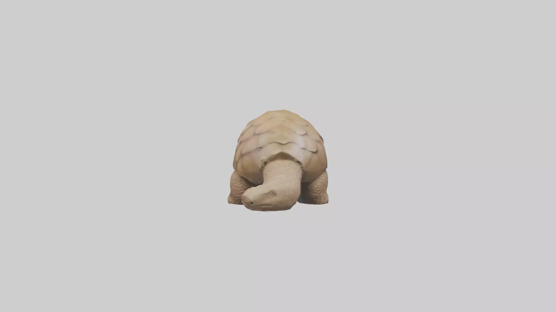 Giant Ground Pangolin resting model Low-poly 3D model_0