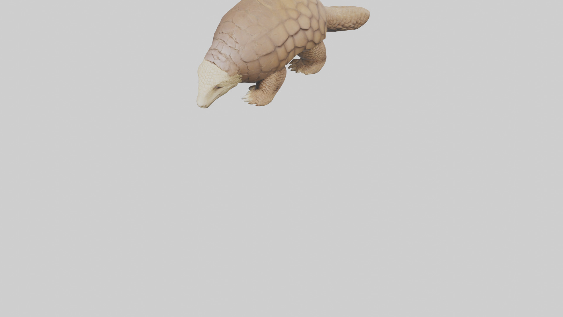 Giant Ground Pangolin resting model Low-poly 3D model_5