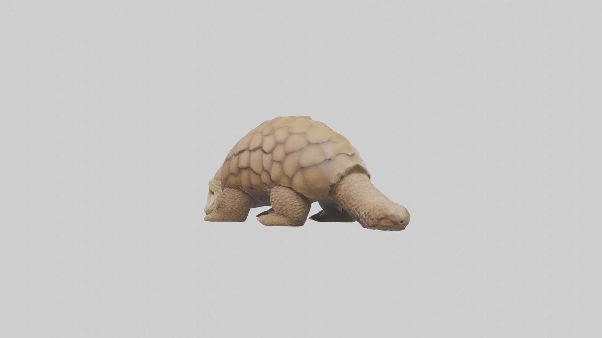 Giant Ground Pangolin resting model Low-poly 3D model_1