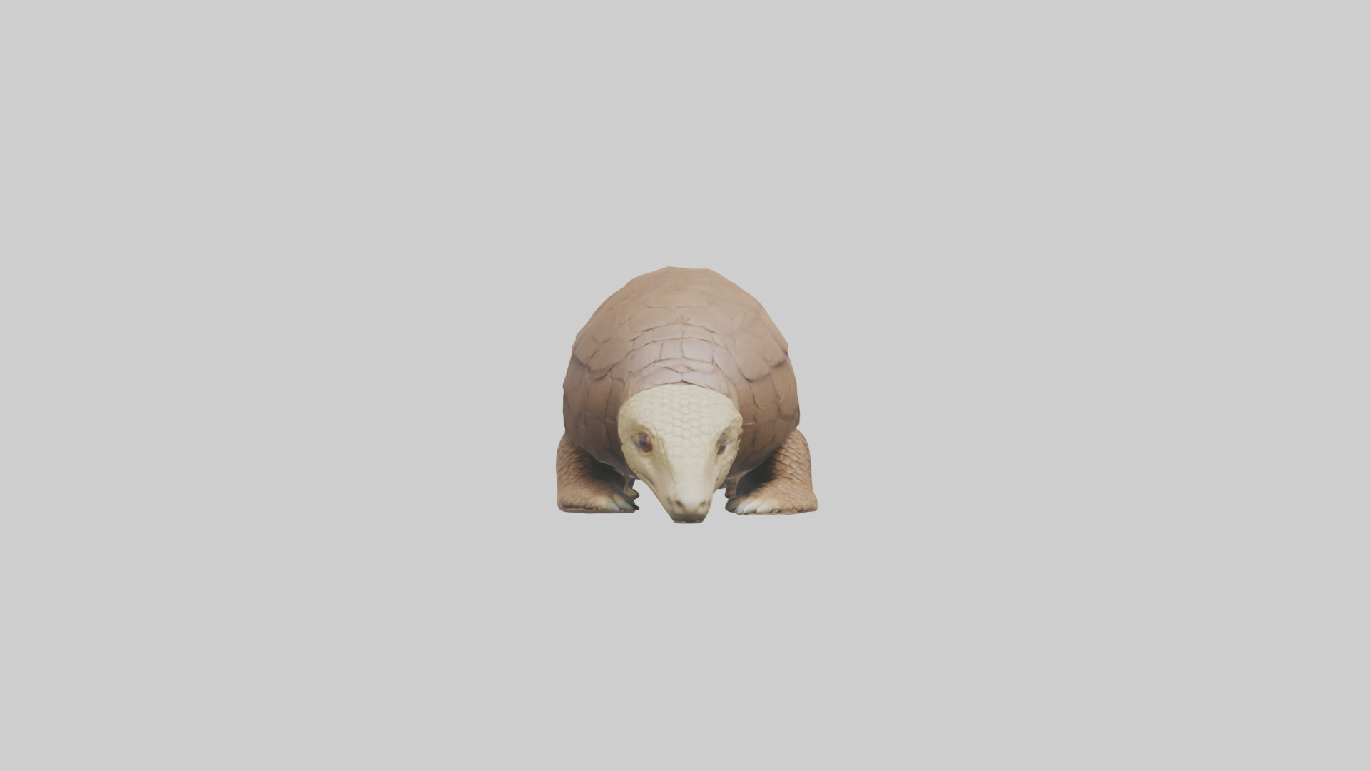 Giant Ground Pangolin resting model Low-poly 3D model_9