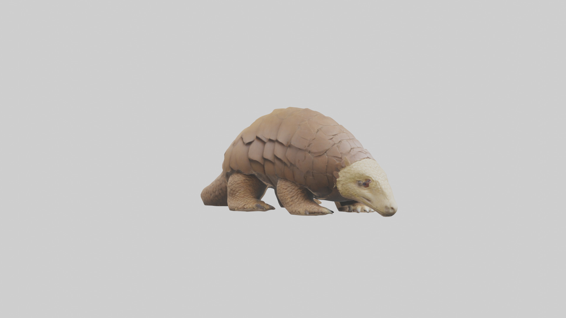 Giant Ground Pangolin resting model Low-poly 3D model_7