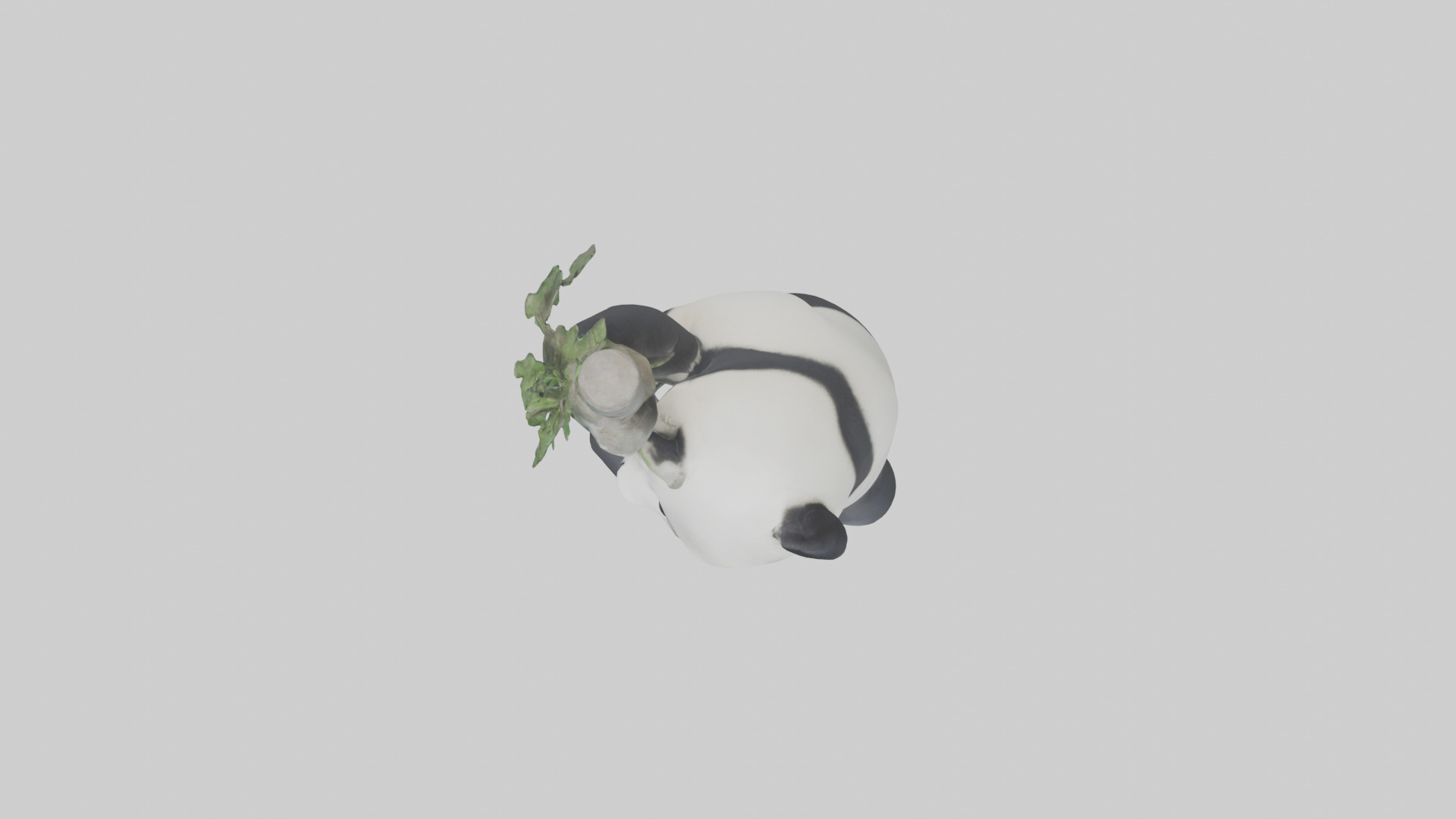 Giant Panda climbing model Low-poly 3D model_14