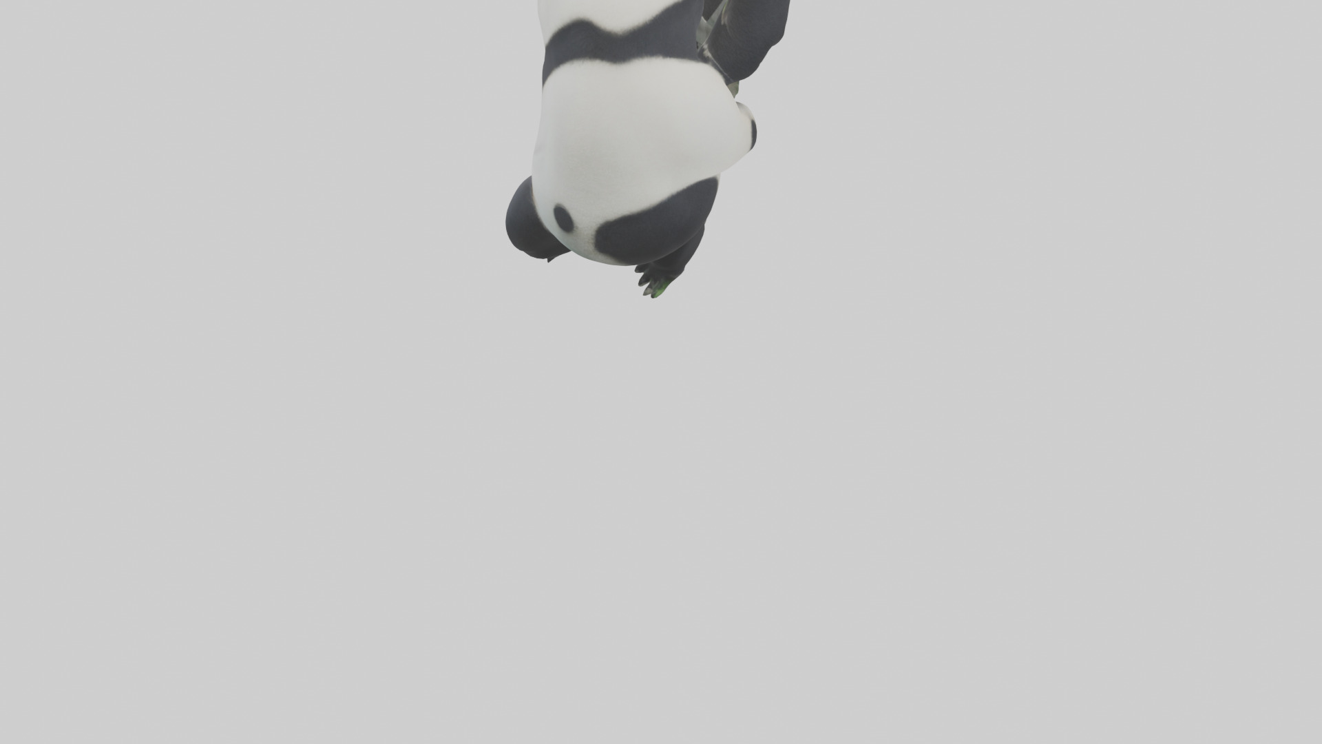 Giant Panda climbing model Low-poly 3D model_3